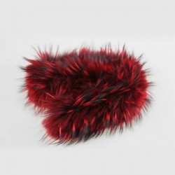 Bontkraag Red